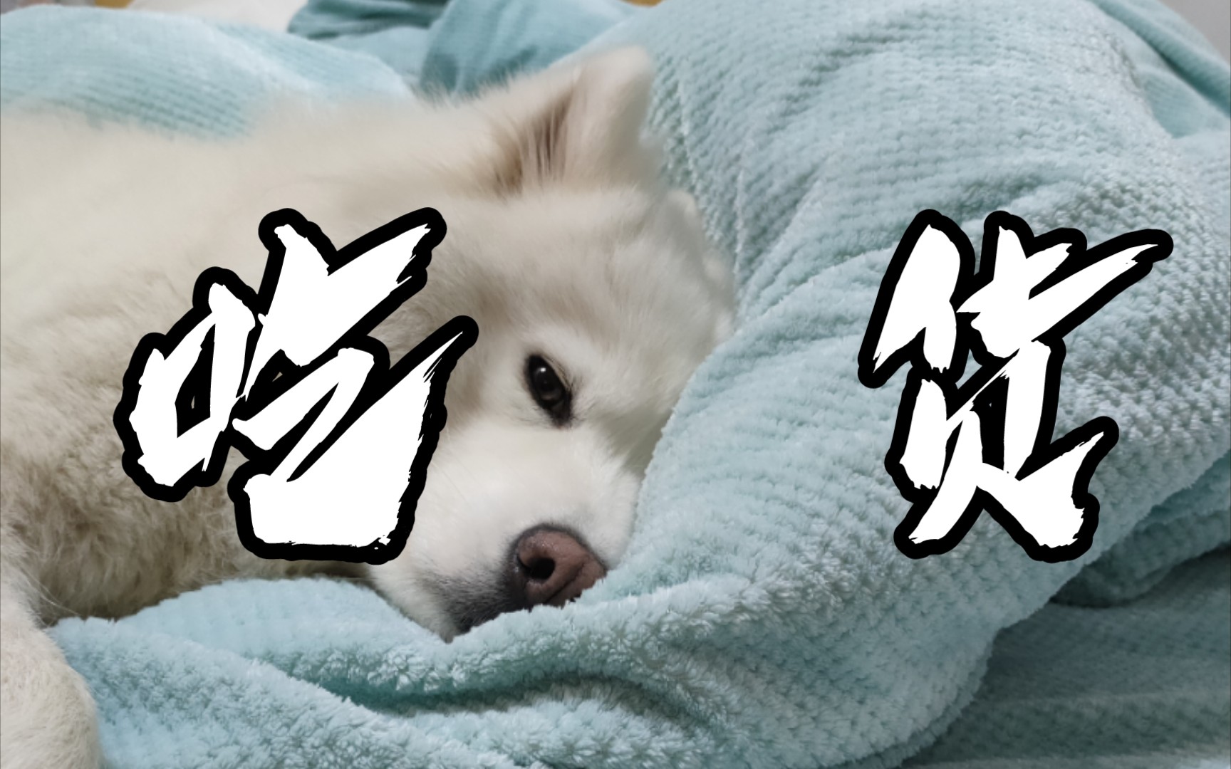 干饭第一,睡觉第二