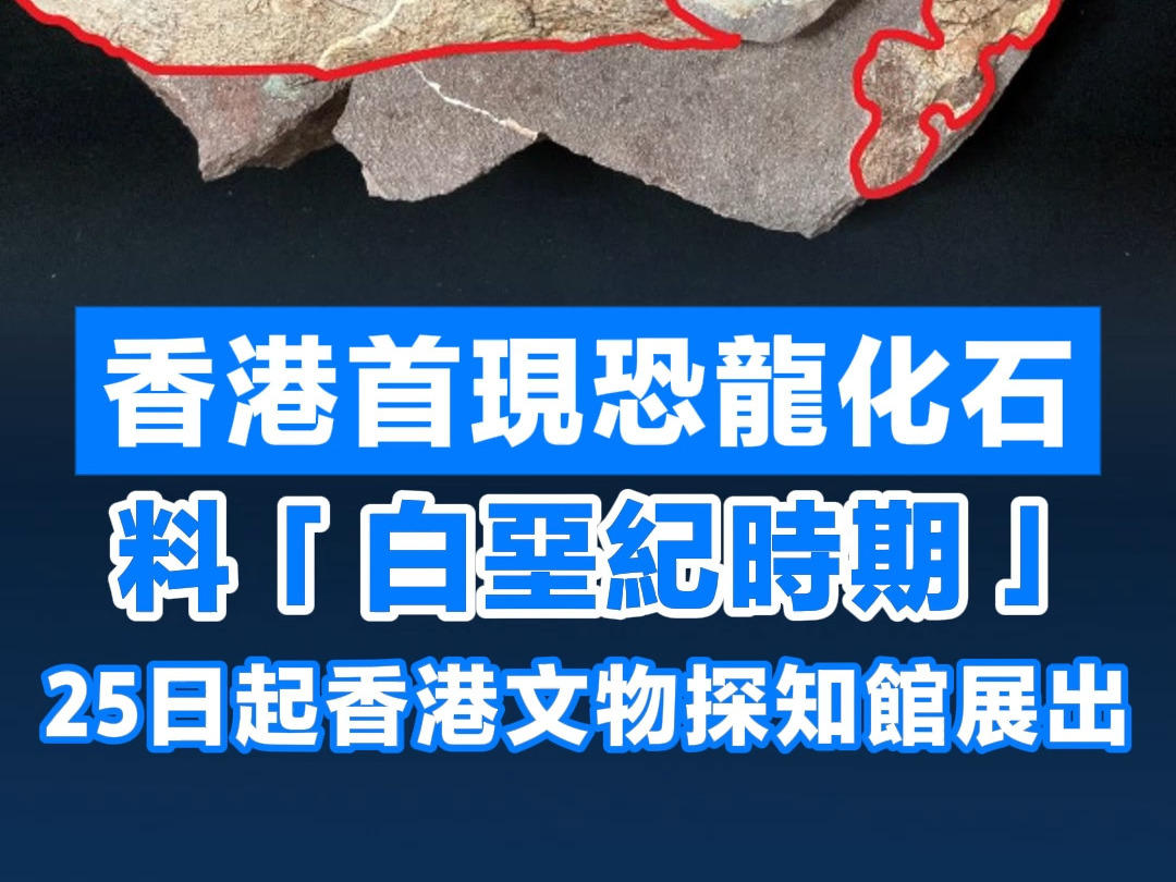 香港首现恐龙化石 料“白垩纪时期” 25日起香港文物探知馆展出哔哩哔哩bilibili