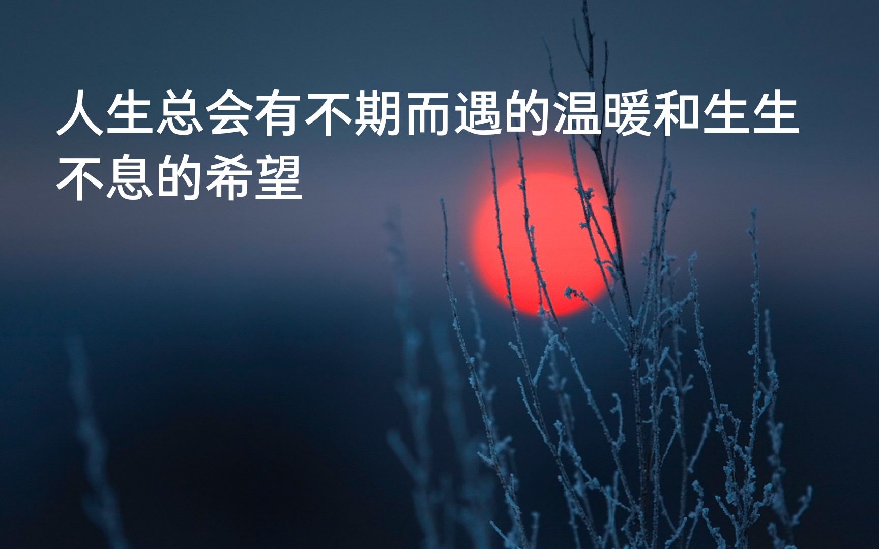 活动作品人生励志语录木心羽生结弦所谓无底深渊下去也是前程万里