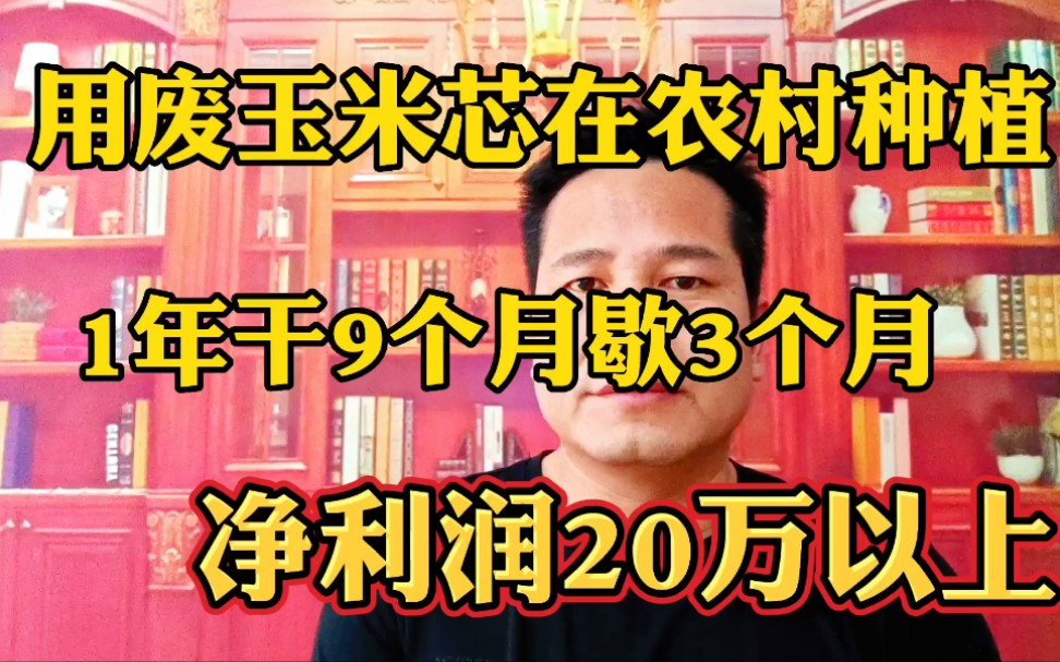 利用废玉米芯种植,1年种9个月轻松好学销路不愁,农村1个人就能种哔哩哔哩bilibili