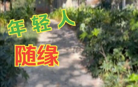 [图]佛偈曰：缘来天注定，缘去人自知。若有缘，无声胜感觉，良好；若无缘，言语再说多，亦废。