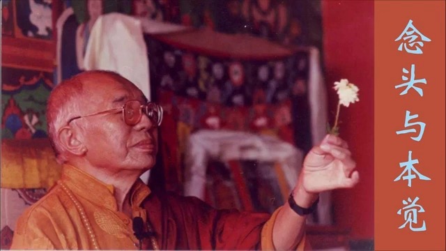 祖古乌金仁波切 当代大圆满祖师开示大