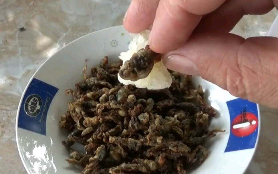 油炸蝌蚪吃过吗?嘎嘣脆鸡肉味那种