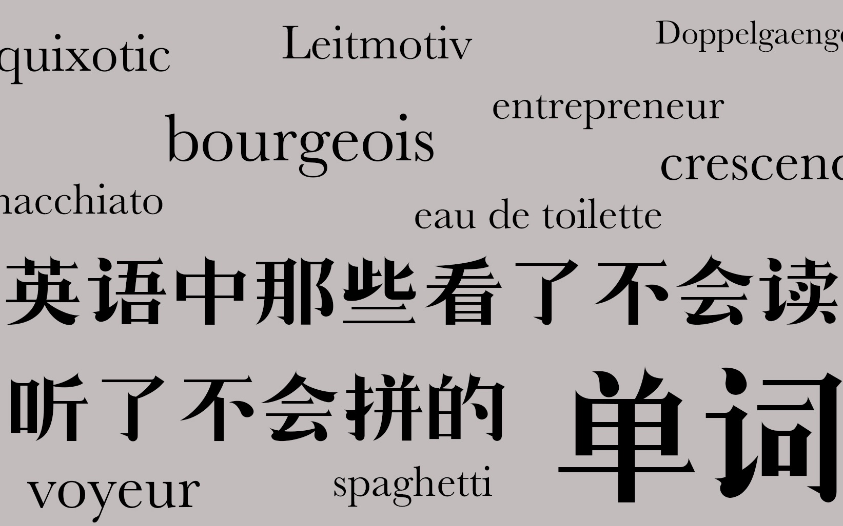 【英语中那些看了不会读,听了不会拼的单词】第二辑ⷥ𞷦„西语借词哔哩哔哩bilibili