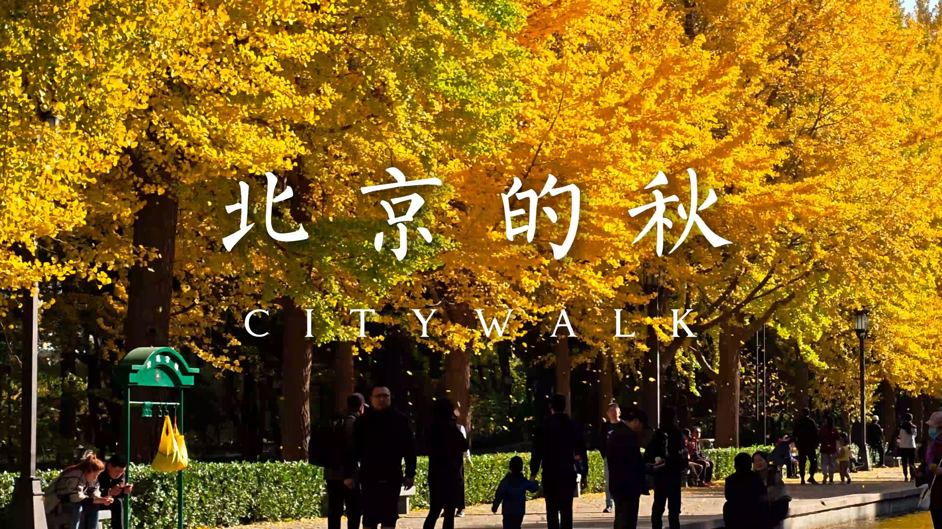 北京的秋|Citywalk慈寿寺+香山(团城演武厅,碧云寺)哔哩哔哩bilibili