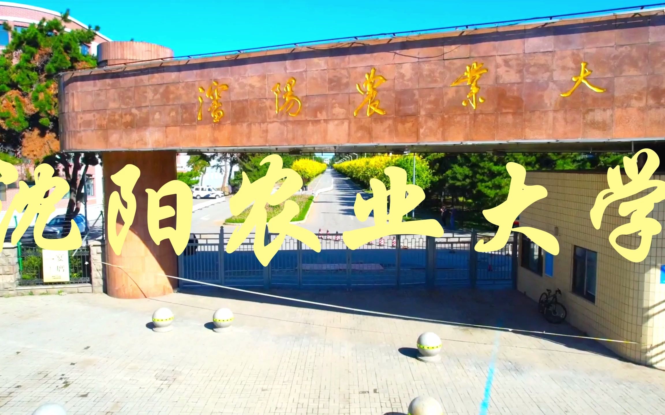 校园氛围浓厚的农业大学——沈阳农业大学