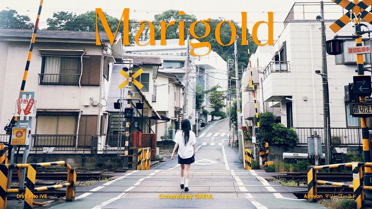 金秋天 翻唱《Marigold》MV哔哩哔哩bilibili