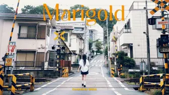 下载视频: 金秋天 翻唱《Marigold》MV