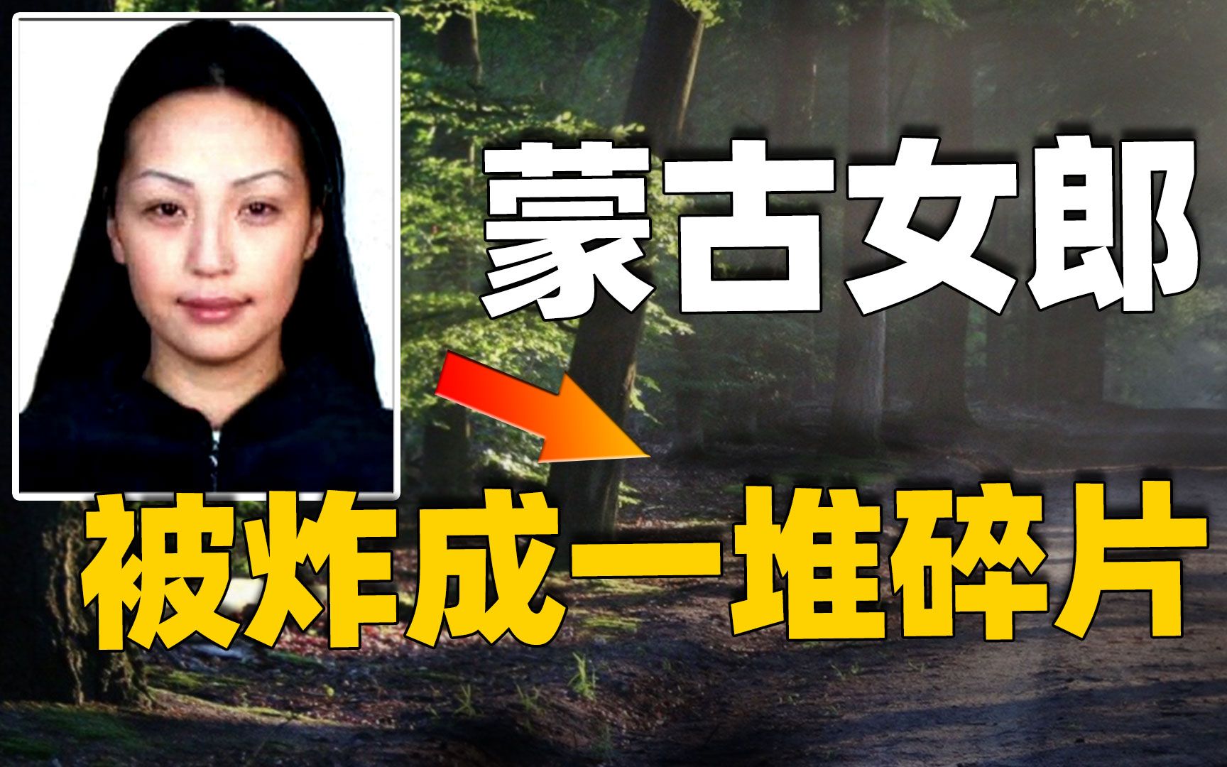 蒙古女模特被炸碎背后竟然牵扯政府高层真凶究竟是谁奇闻观察室