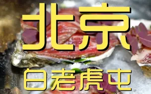 Descargar video: 北京.白老虎屯 厨子探店¥？？88