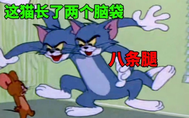 [图]猫和老鼠的故事，到底是谁吓谁？