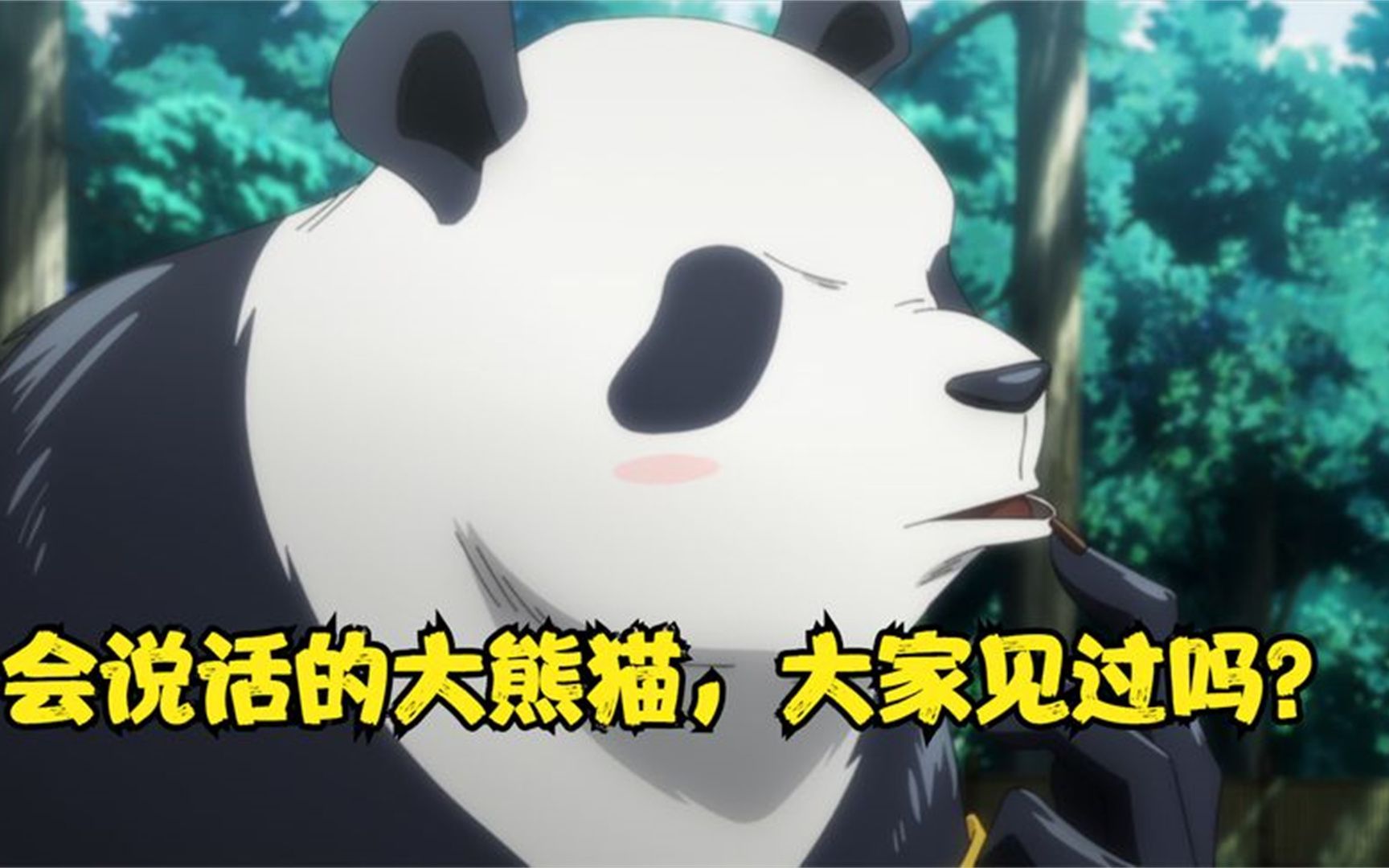 会说话的大熊猫.大家见过吗?