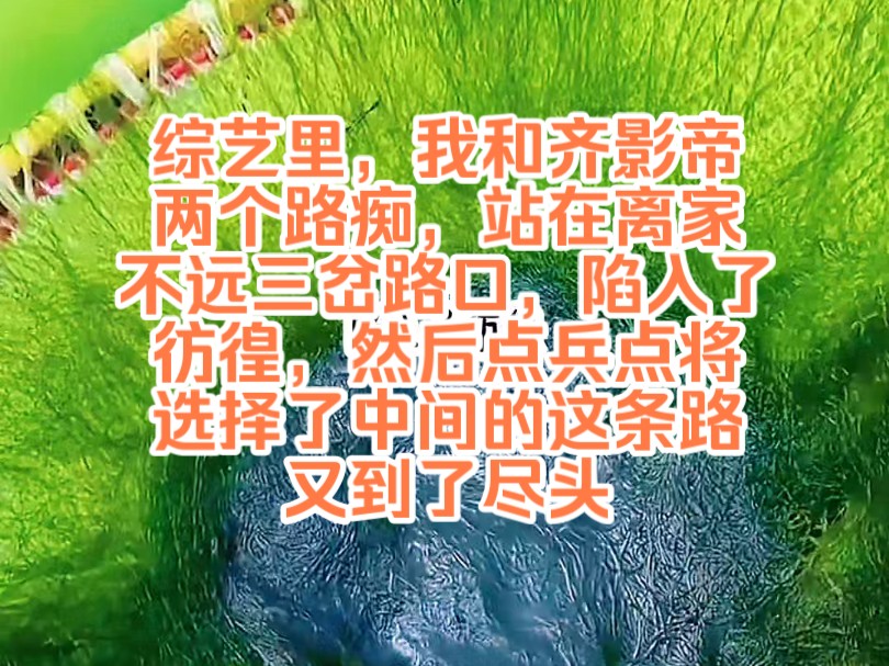 [图]《陌上摆烂 6》综艺里，我和齐影帝两个路痴，站在离家不远三岔路口，陷入了彷徨，然后点兵点将，选择了中间的这条路，又到了尽头