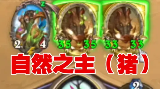 OTK自然之主（猪）！【丕用没有的OTK】第三百零六期