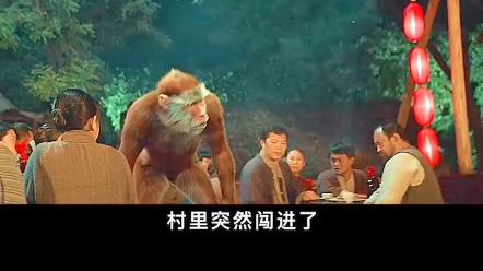 海报