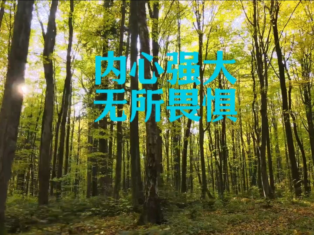 内心强大,无所畏惧