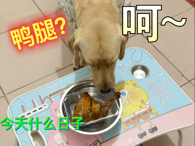 我不饿，你吃吧！