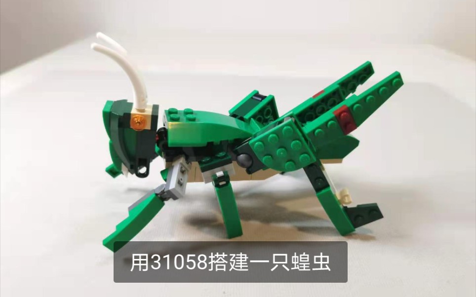 乐高31058套内moc系列16搭建一只蝗虫
