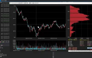 Download Video: 仿照国外交易系统 TradingView 的 VolumeProfile（成交量分布图）进行改良，在传统成交量筹码峰基础上，增加持仓量多空、局部数据分解和回测