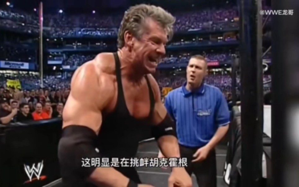 [图]wwe2003摔角狂热大赛，文斯迈克麦vs胡克霍根