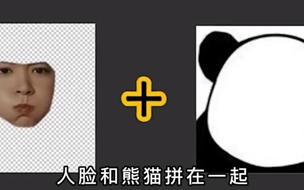人脸熊猫图片 原型图片