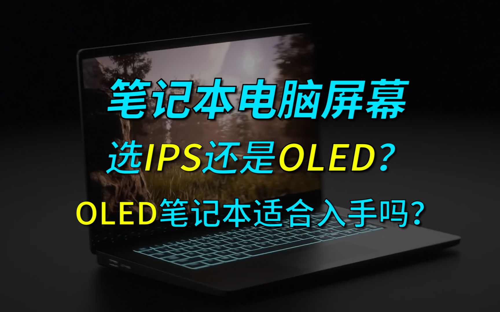 OLED屏幕的笔记本电脑能入手吗?选购时屏幕是选IPS还是OLED,适合小白的简易屏幕科普内容【巅峰玩家】哔哩哔哩bilibili