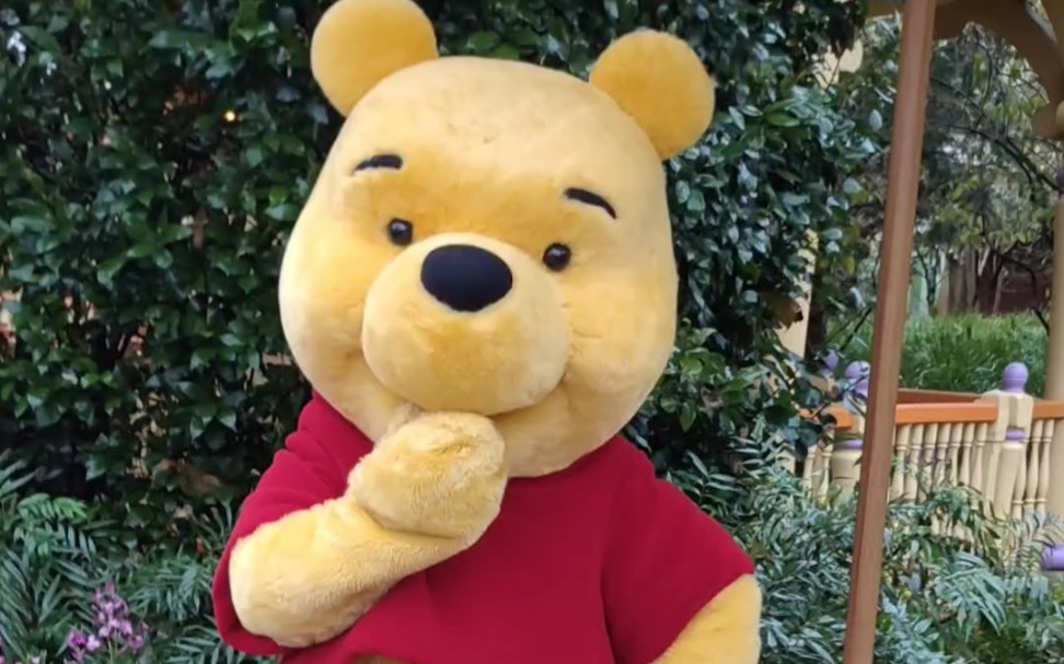 【上海迪士尼】噗噗站在那里就是pose!