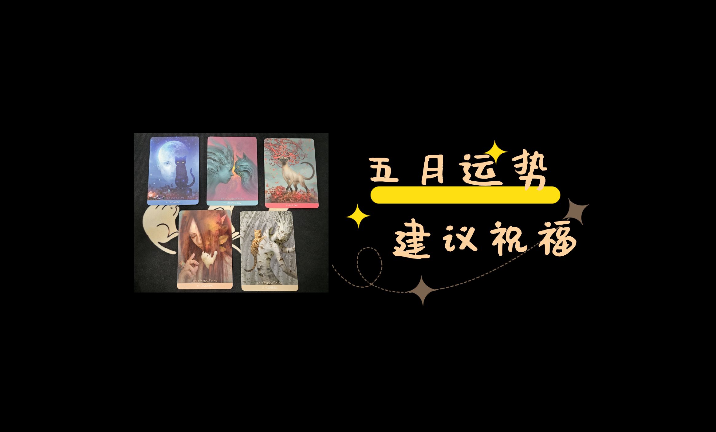 【日月猫塔罗】五月运势~建议祝福~哔哩哔哩bilibili