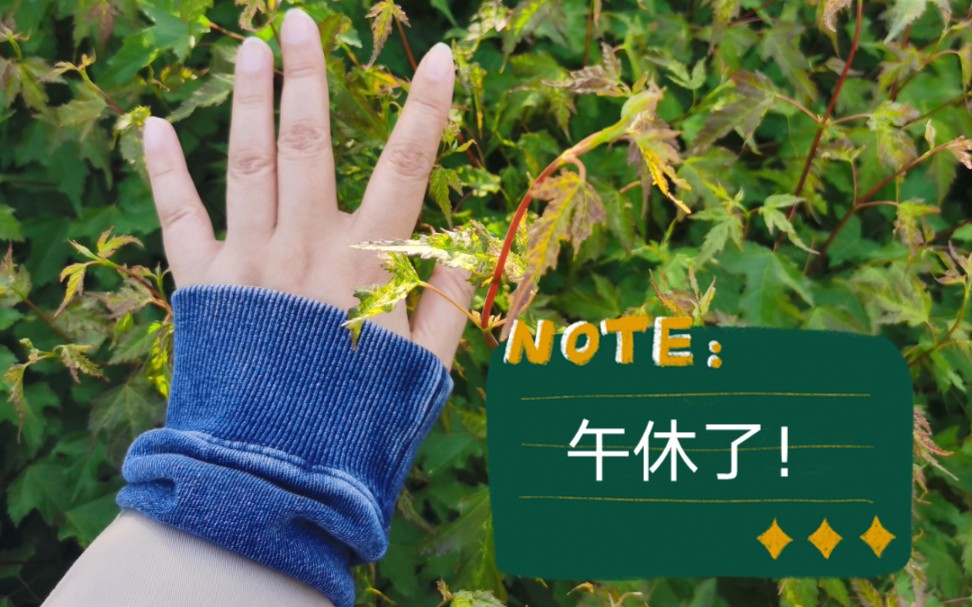 活动  调休的周六工作日——午间休息之散步