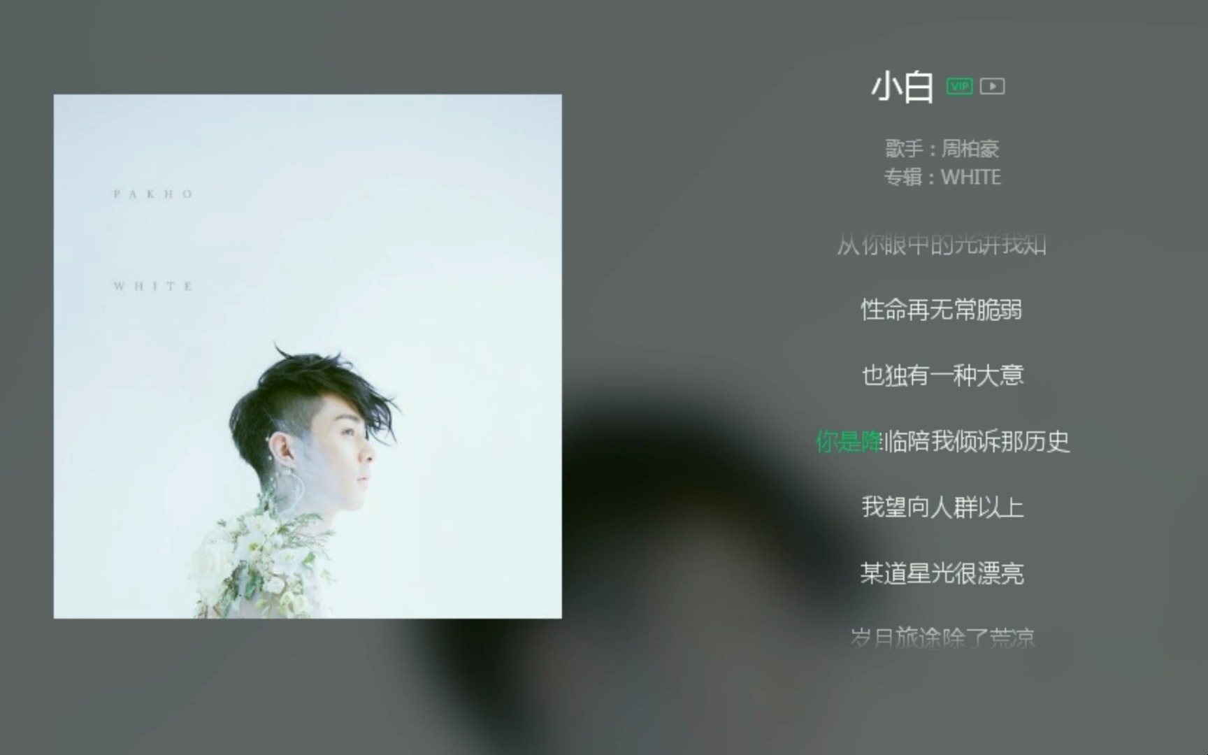 周柏豪【小白】