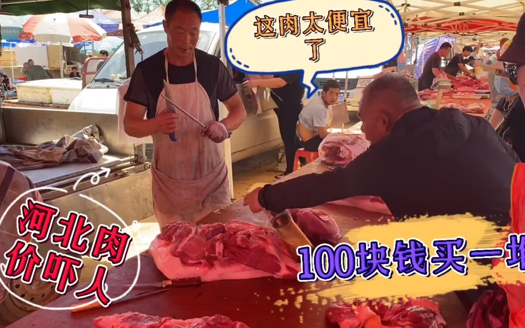 河北猪肉价太吓人,看看今天猪肉多少钱一斤,便宜了吗?大吃一惊哔哩哔哩bilibili