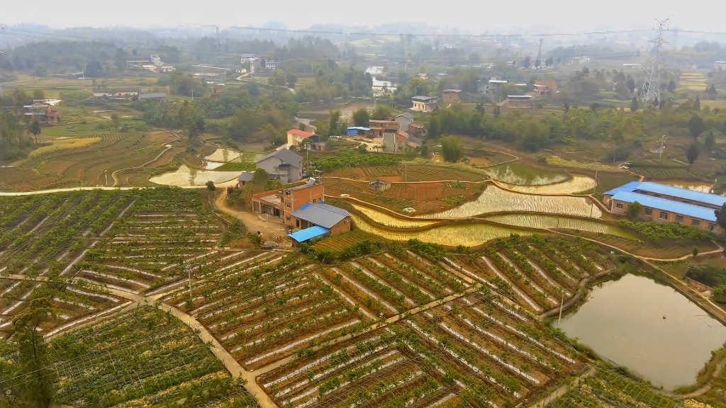 重庆市铜梁区西河镇桃园