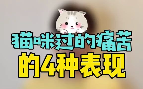 如果猫咪有这4种表现,说明它在家里过得很痛苦哔哩哔哩bilibili