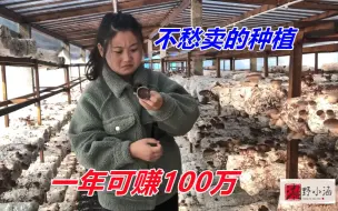 Download Video: 10个棚成本不到3万，一年利润达100万，这种植暴利，市场不愁卖！