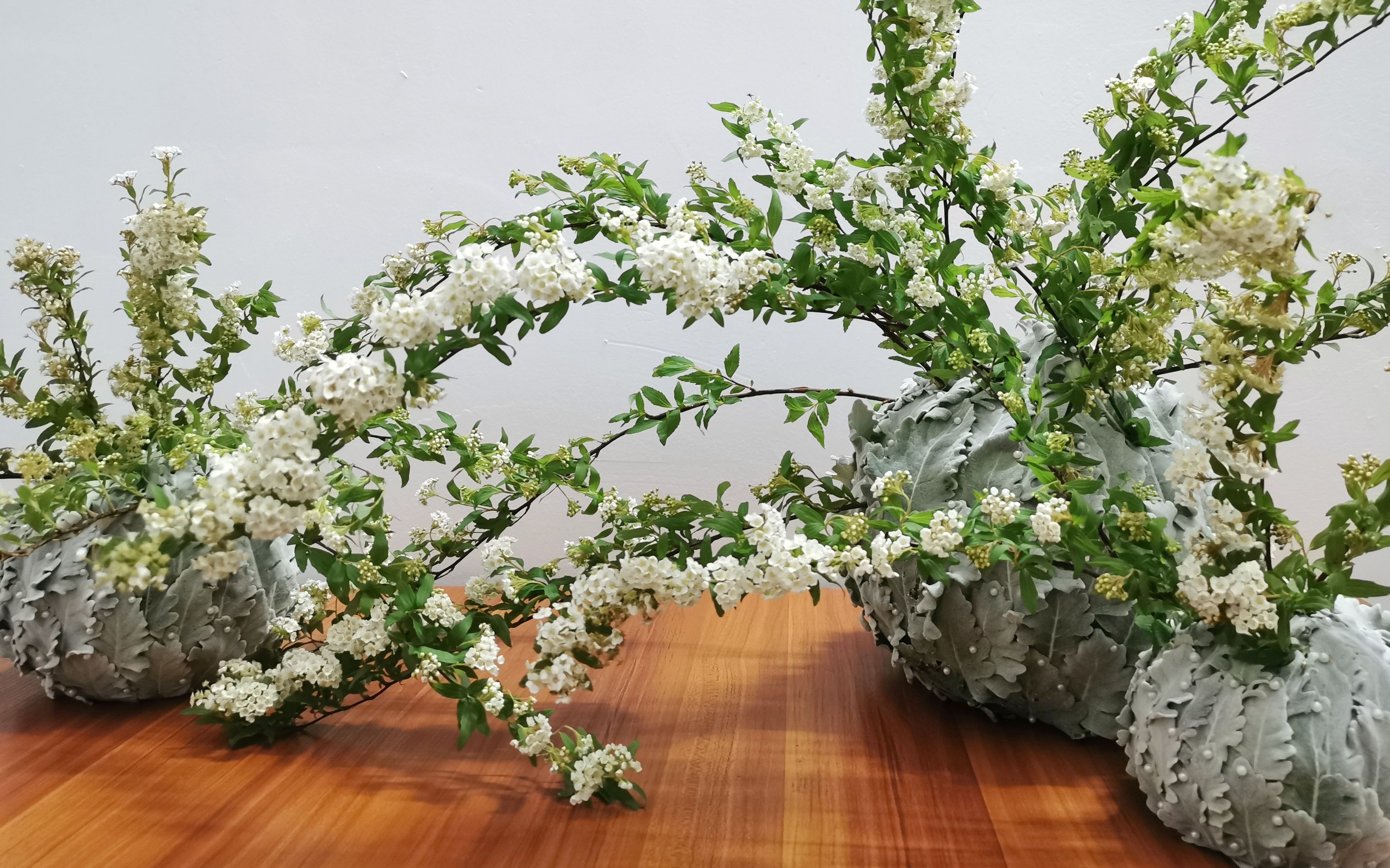 银叶菊架构花艺_哔哩哔哩 (゜-゜)つロ 干杯~-bilibili