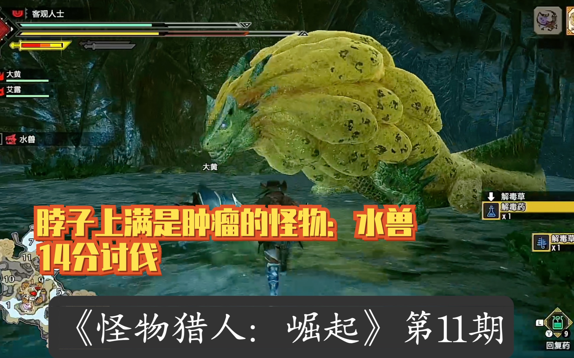 脖子上满是肿瘤的怪物:水兽 14分讨伐《怪物猎人:崛起》第11期_哔哩