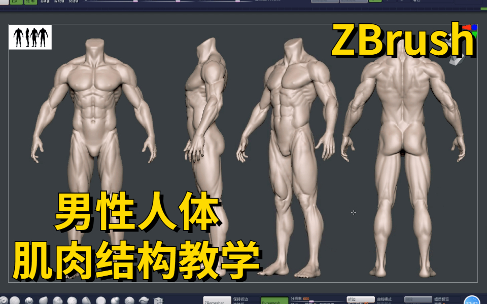 [图]【ZBrush雕刻宝典】男性人体肌肉结构雕刻技巧大全，每天只要30分钟，神笔老师带你轻松掌握人体肌肉结构！