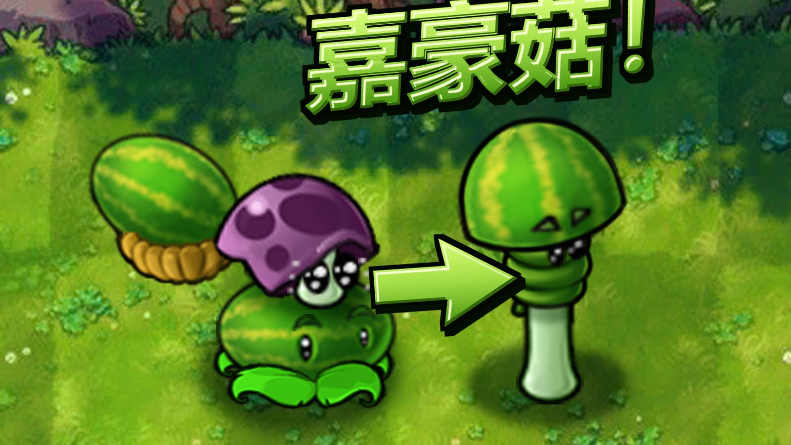 你 这 瓜 保 熟 吗？