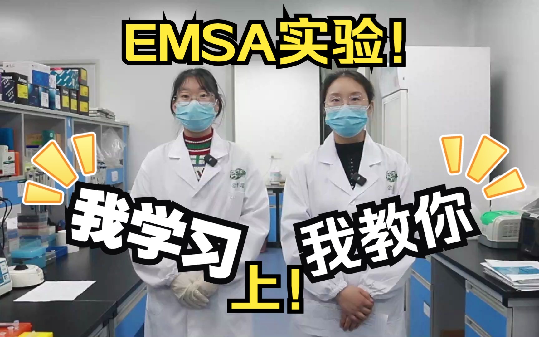 EMSA实验怎么做?手把手教你凝胶迁移实验!(上)哔哩哔哩bilibili