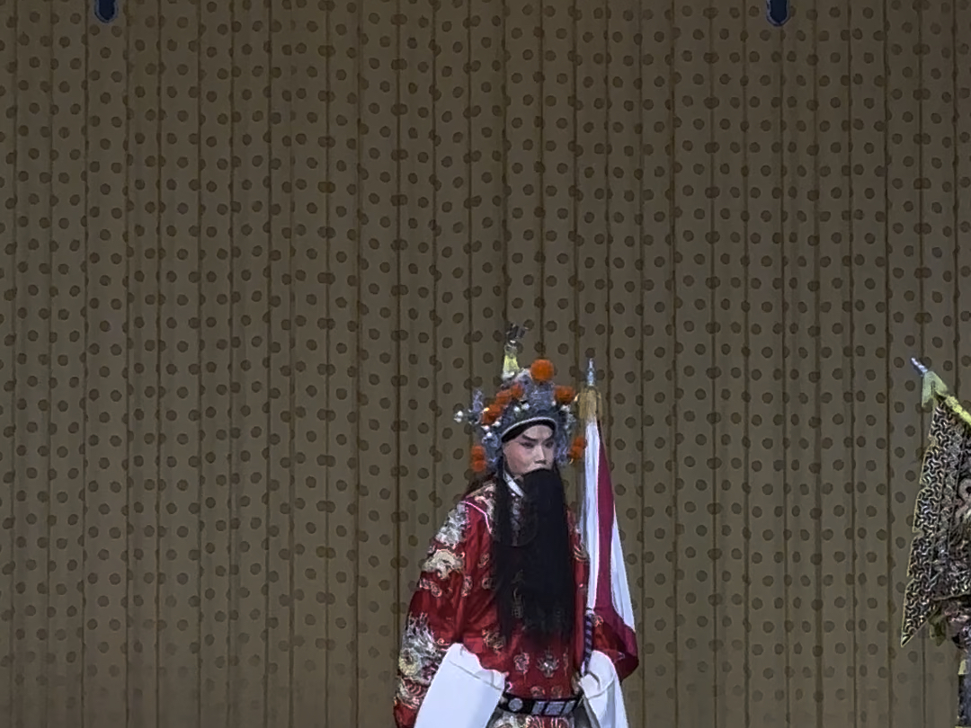 张宸菲《白良关》西皮流水"北国胡儿真胆大"