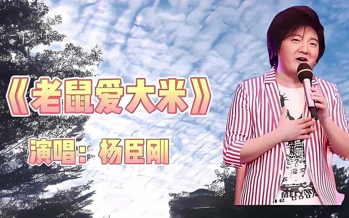 杨臣刚 老鼠爱大米 我爱你 爱着你 就像老鼠爱大米