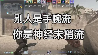 Descargar video: 【付费挨骂】顶级高敏！纳米级精度的瞄准，这鼠标速度能玩到现在也是辛苦你了..