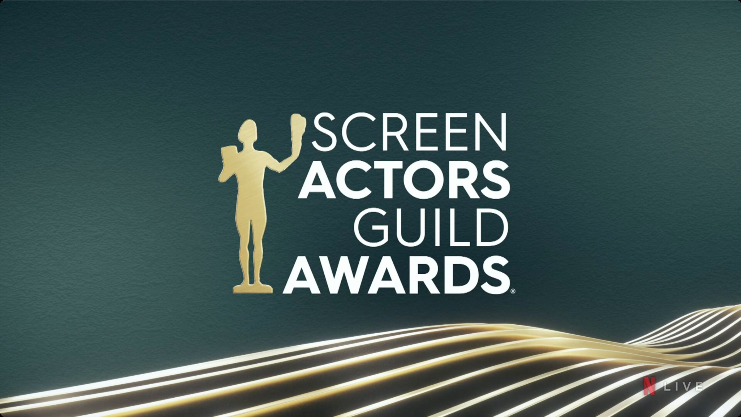 2024第30届美国演员工会奖颁奖典礼 The 30th Annual Screen Actors Guild Awards 2024哔哩哔哩bilibili