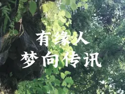 Download Video: 【梦向传讯】无时限