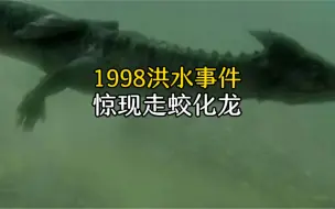 Video herunterladen: 98年发大洪水，惊现走蛟化龙事件，太震撼