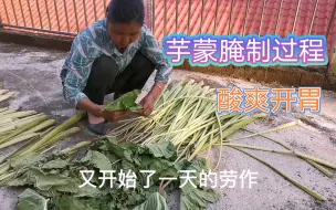 Download Video: 芋蒙怎么做？家乡美食酸爽开胃，实拍整个腌制过程