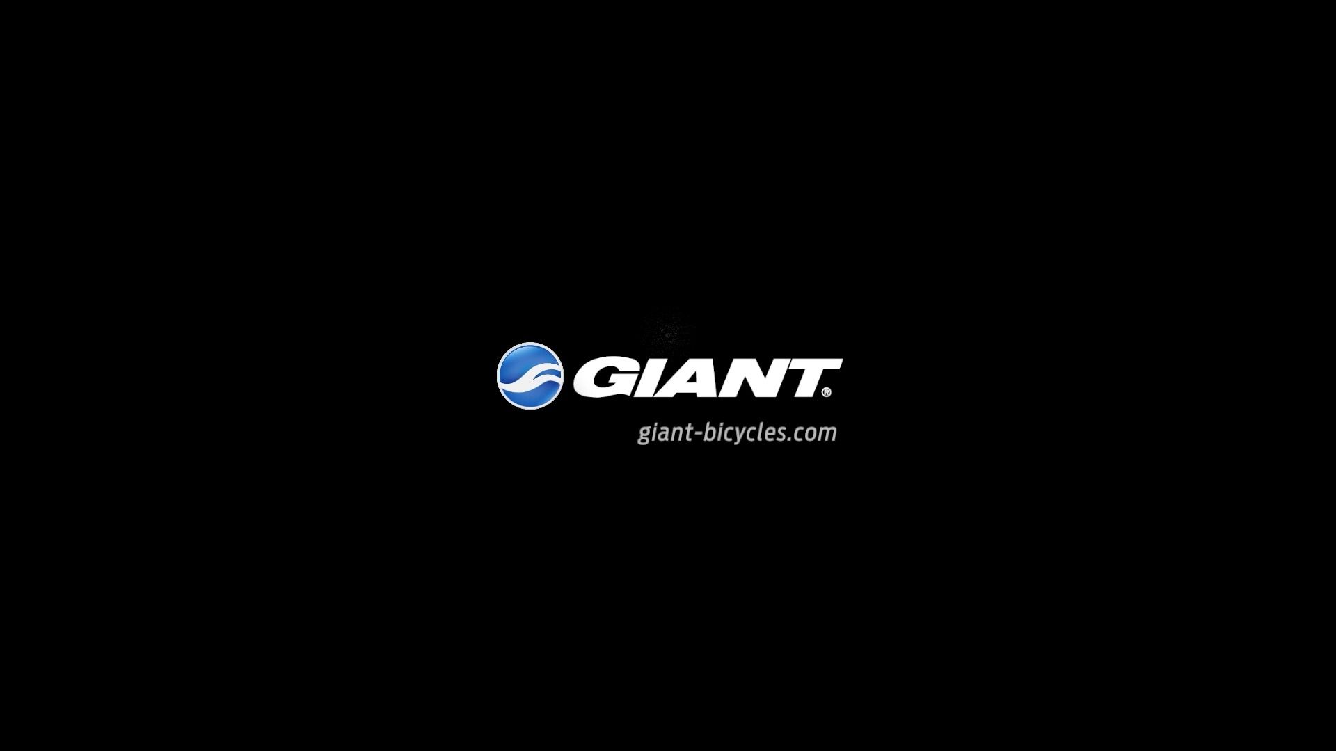 Giant碳纤维制车架制作流程大揭秘~哔哩哔哩bilibili