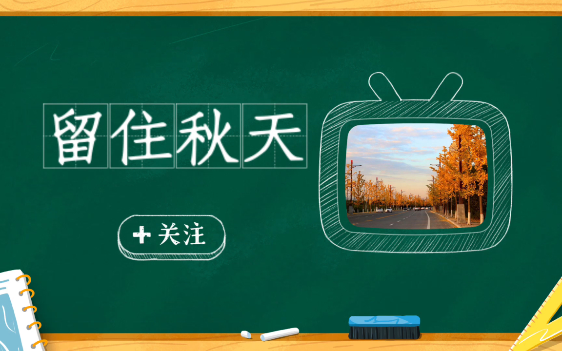 小学课堂微课哔哩哔哩bilibili