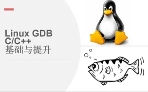 Скачать видео: Linux gdb观察点的使用