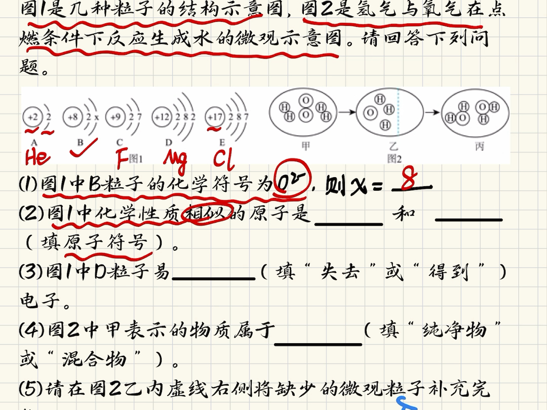 九上化学期中必考知识点!粒子的结构示意图#初中化学教学 #化学期中考试 #化学基础知识 #原子哔哩哔哩bilibili